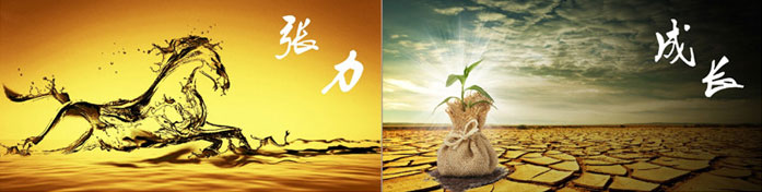 企業(yè)發(fā)展要學(xué)會取他人之長、補(bǔ)自己之短